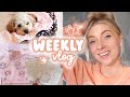 online shopping fail & hosting a cocktail night 🍸 weekly vlog!