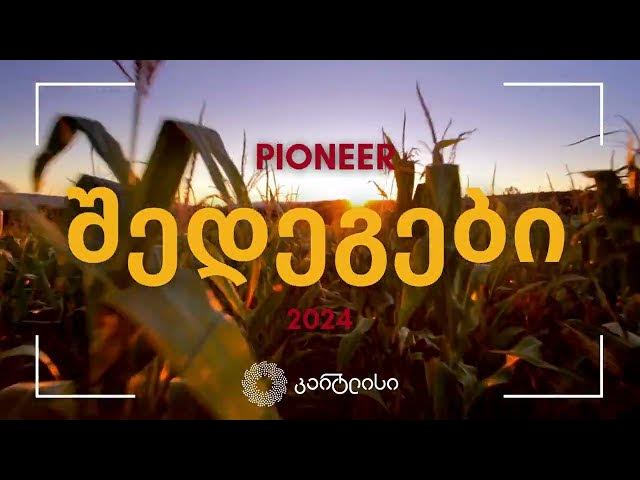 როგორ მივიღოთ სიმინდის უხვი და ხარისხიანი მოსავალი?