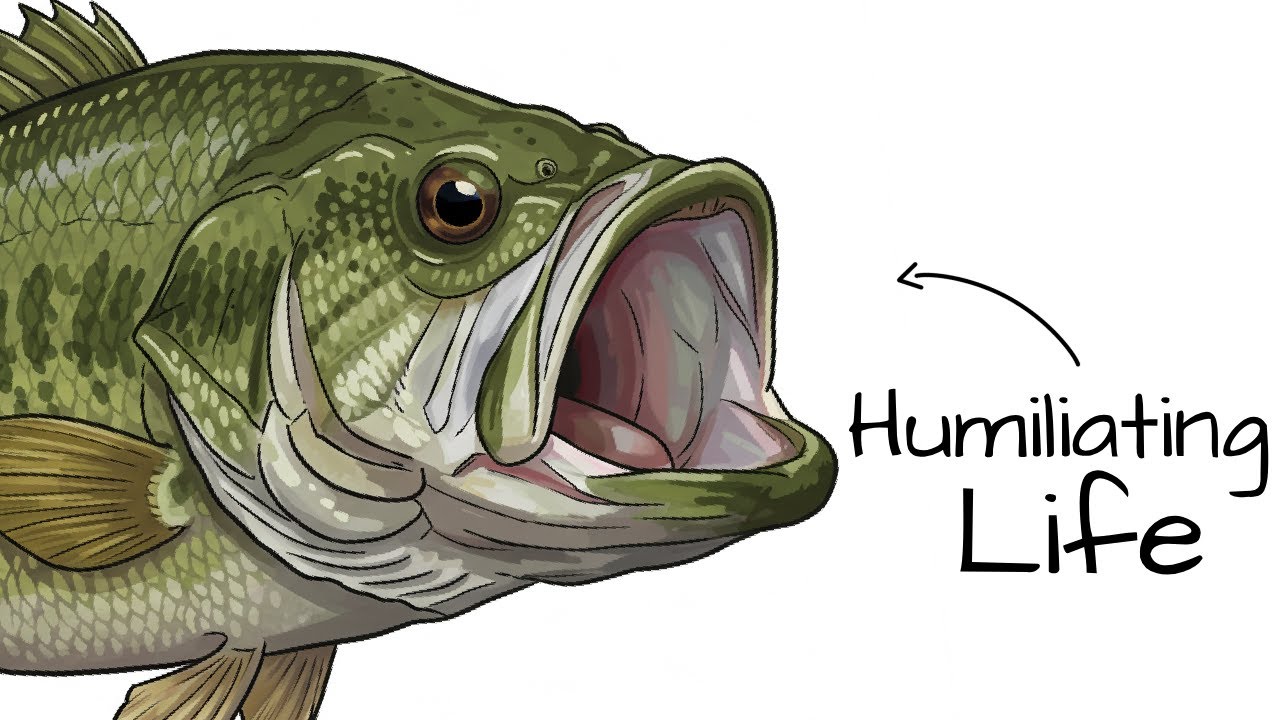 Why it Sucks To Be Born As a Largemouth Bass