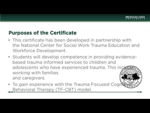 Evidence Based Trauma Treatment Certificate PPT YouTube