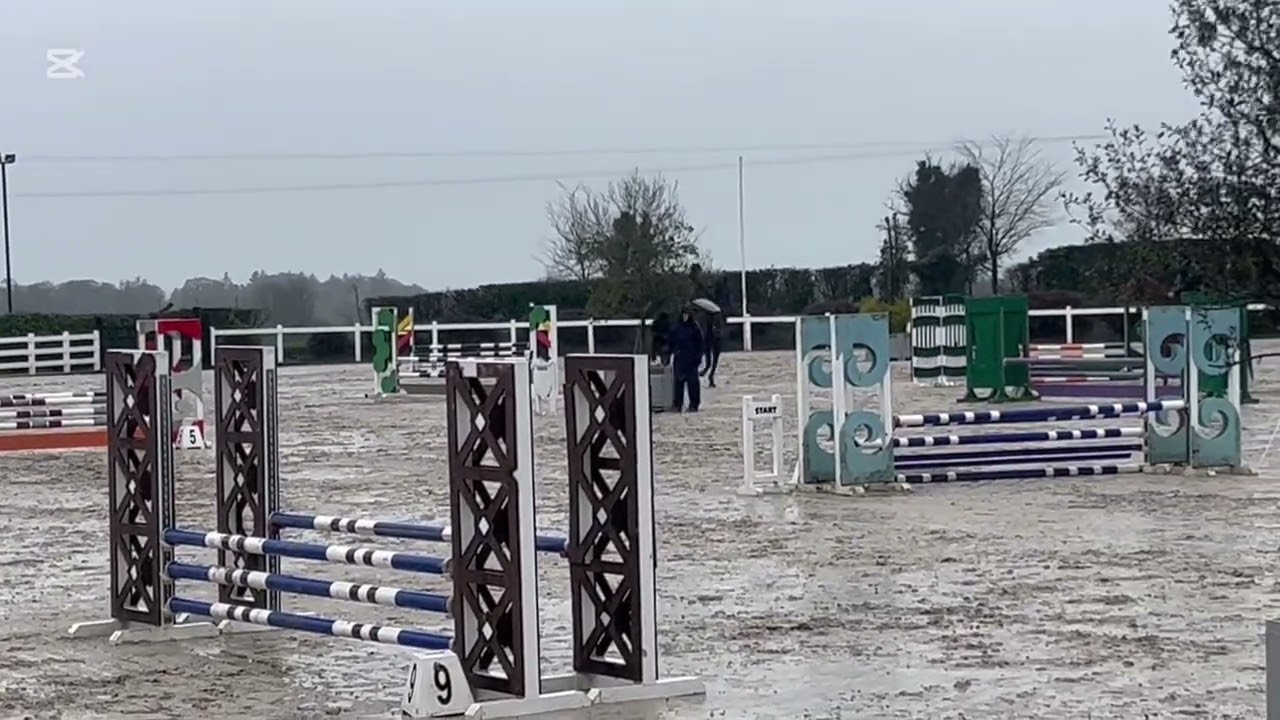 Hollypark Frenchy jumping