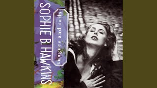 Watch Sophie B Hawkins Carry Me video