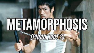 Bruce Lee - Metamorphosis Phonk Edit 2
