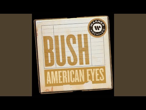 American Eyes