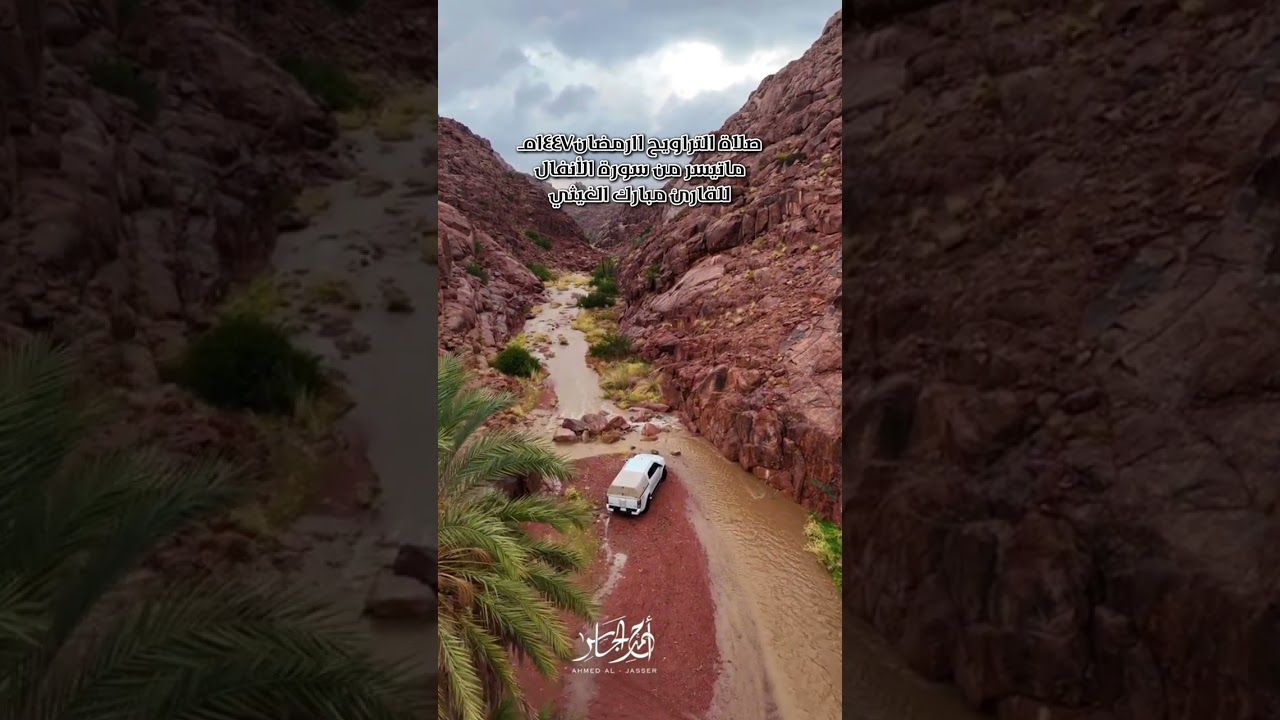 صلاة التراويح ليلة ١١رمضان١٤٤٧هـ للقارئ مبارك الغيثي 