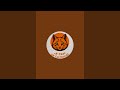uk cat haruki is live