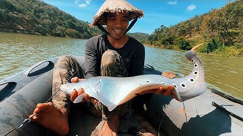 Thả 4 Viền Câu￼ Săn Cá Lớn Thủy Điện Về Đêm Fishing Camping, cooking, and sleeping in the forest