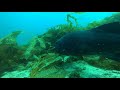black giant sea bass at casino point - YouTube