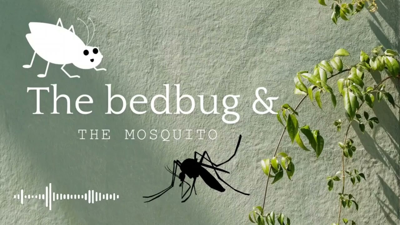 The bedbugs and The mosquito 🦟 / English Story