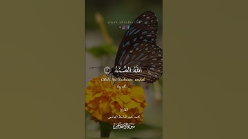 #سورة_الإخلاص #قرآن #تلاوة #القارئ #الشيخ #محمد #عبدالباسط #الهاشمي