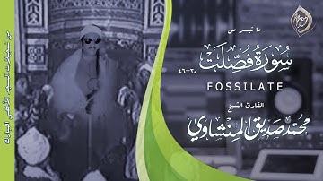 تلاوة ندية !! من خشوعها يسيل لها قطر الدمع😪💐كـأنها نقعت في #الجمال |#فصلت_القدس