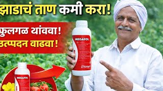  | MEGAFOL  झाड कमजोर होतंय का? MEGAFOL वापरा | उत्पादन वाढीचा खात्रीशीर उपाय5️⃣ MEGAFOL 🌎🌱
