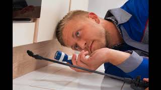 Framingham, MA Termite Control - WPC Pest and Termite Control