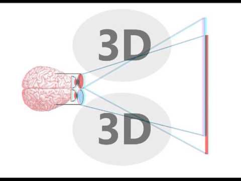 Video: Hvad Er Forskellen Mellem 3D-briller