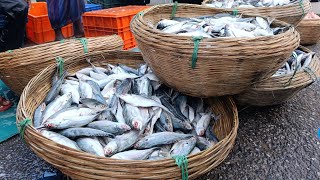 🔴 LIVE: Inside KB Seafood & Fishing Market Bagerhat | Fresh Fish Processing for USA & Europe Viewers