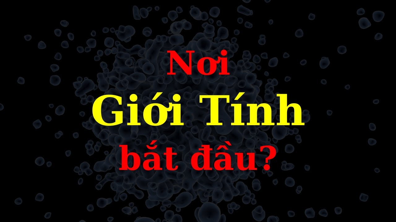 Giảm Phân là gì? - Sinh Học - tập 13 | Tri thức nhân loại