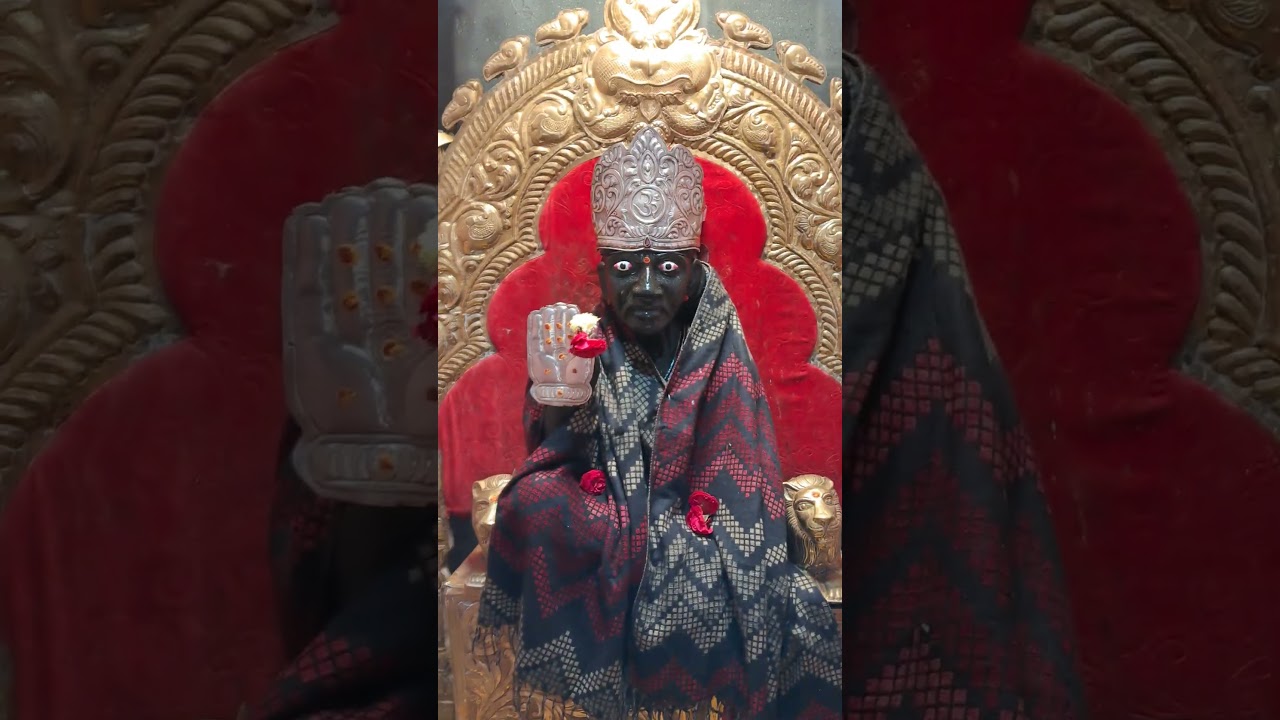 See the Light in You 