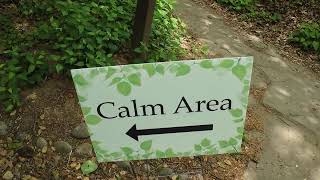 The Calm Area @ National Cathedral, Washington, D.C.