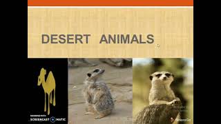 Desert Animals I Know About Desert Animals And Their Habitat.