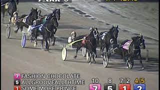 Northfield Park - Perlucky - Open Trot March 2, 2020