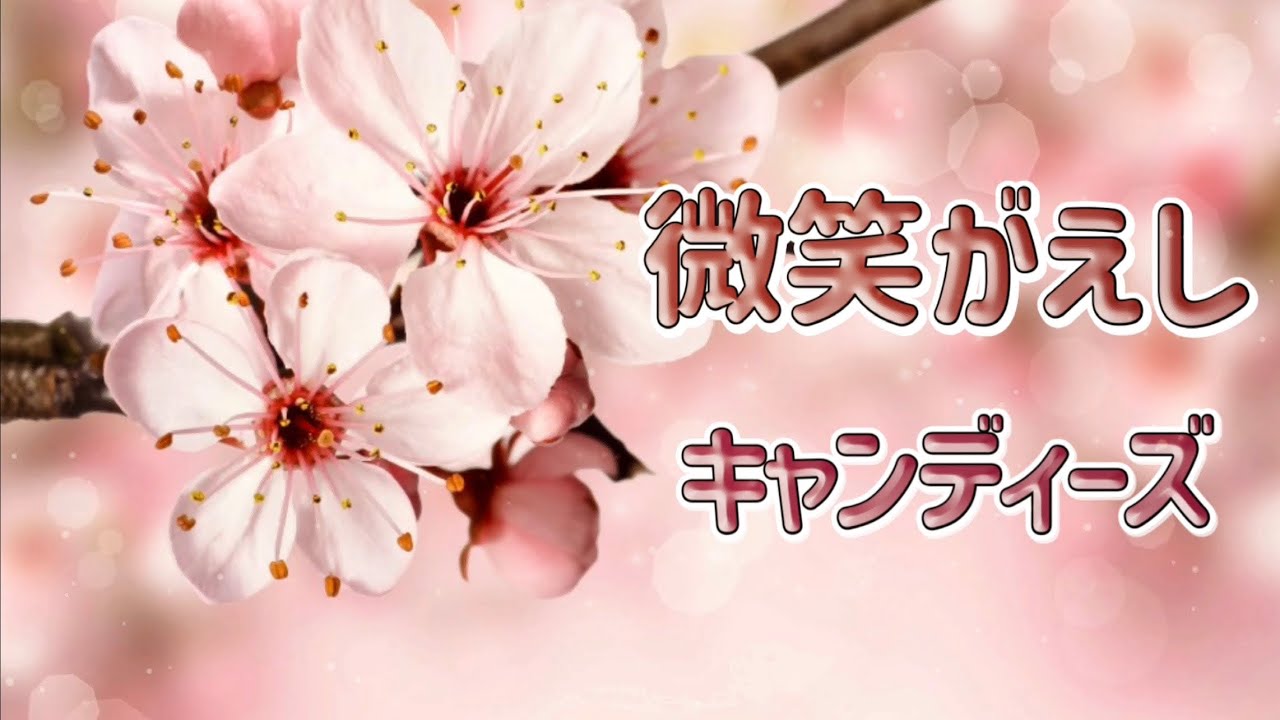 キャンディーズ 微笑 が え し 歌詞