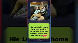 His boy. His home. Forever #RescueDog #ShelterToHome #ForeverHomeFound #DogAndBoy #hearttouching