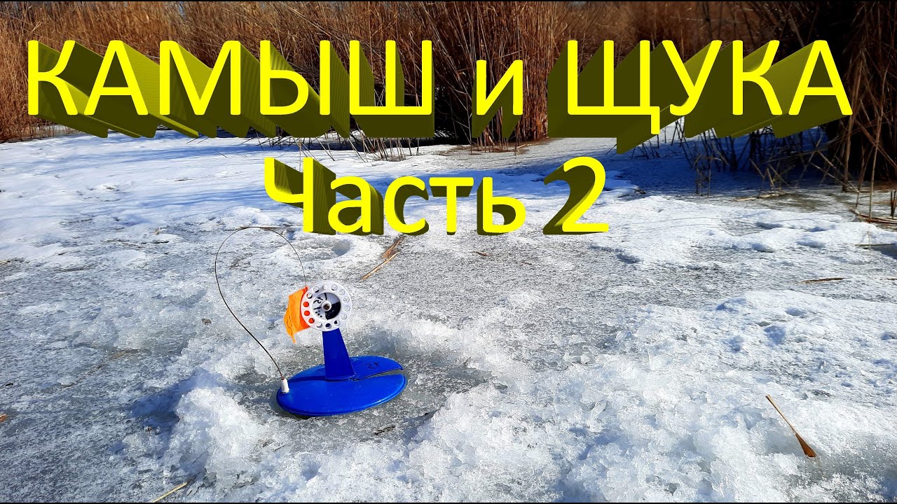 Поставил ЖЕРЛИЦЫ под КАМЫШ (часть 2). Попал на выход щуки. Успешная ...