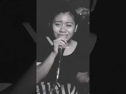 Video Ale Par Dia