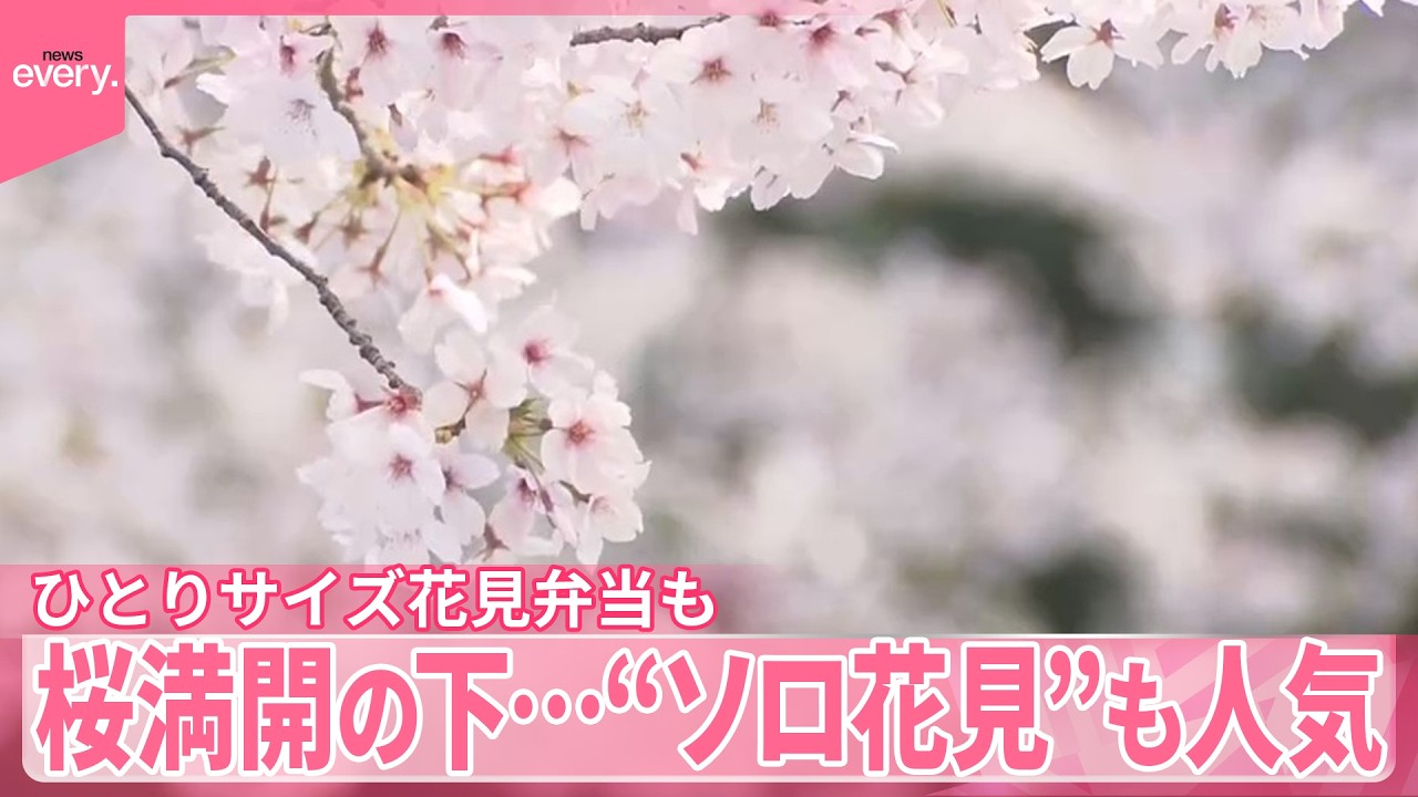 自分のペースで桜】ひとりサイズ花見弁当も 満開の下 “ソロ花見”も人気