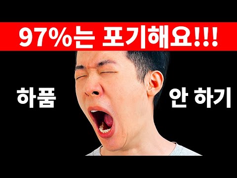 이 영상을 보는 동안 하품하지 마세요 || 불가능한 도전