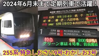 【定期運用の期間が延長！】255系 東京駅発着 Be-05編成 特急しおさい9号 銚子行・Be-04編成 特急わかしお3号 安房鴨川行 停車駅案内・放送・発着シーン