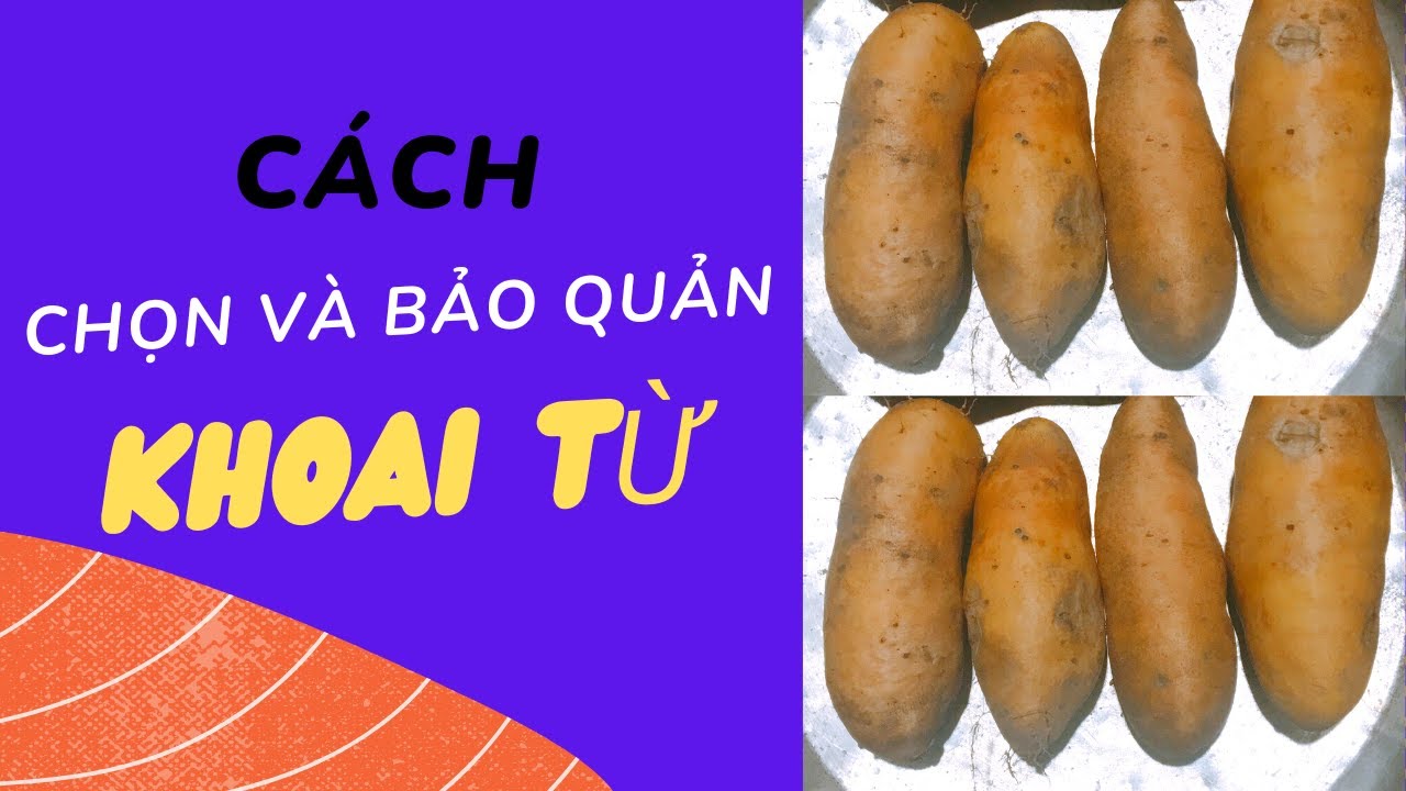 Cách Chọn Và Bảo Quản Khoai Từ| Nghĩa Miền Tây T343