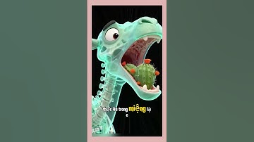 👉 “Vì Sao Lạc Đà Ăn Được Xương Rồng Gai Nhọn Mà Không Đau? 🐫🌵” #funny