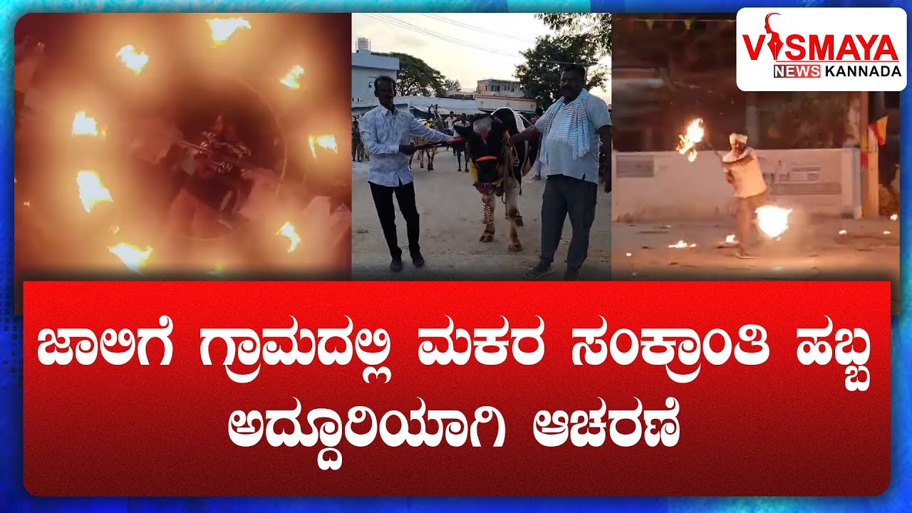 ಜಾಲಿಗೆ ಗ್ರಾಮದಲ್ಲಿ ಮಕರ ಸಂಕ್ರಾಂತಿ ಹಬ್ಬ ಅದ್ದೂರಿಯಾಗಿ ಆಚರಣೆ || Vismaya News Kannada