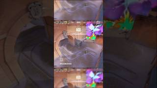 RAZE + BUCKY = DESTRUCTION! 💣🔥 #valorant #ValorantTurkiye #Raze #RazeAce #razemaster