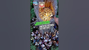 Email Marketing for Beginners: Step-by-Step Setup (2025 Guide)