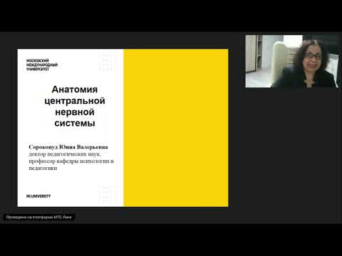 Анатомия центральной нервной системы 13 02 2026 1740   1900 2026