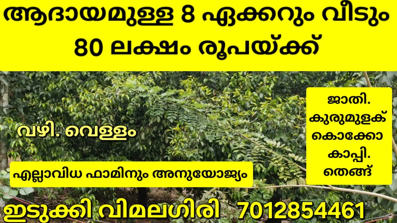 ആദയമുള്ള 8ഏക്കറും വീടും 80ലക്ഷത്തിന്.എല്ലാവിധ ഫാമിനും കൃഷിക്കും അനുയോജ്യം. ഇടുക്കി വിമലഗിരി 👇👇