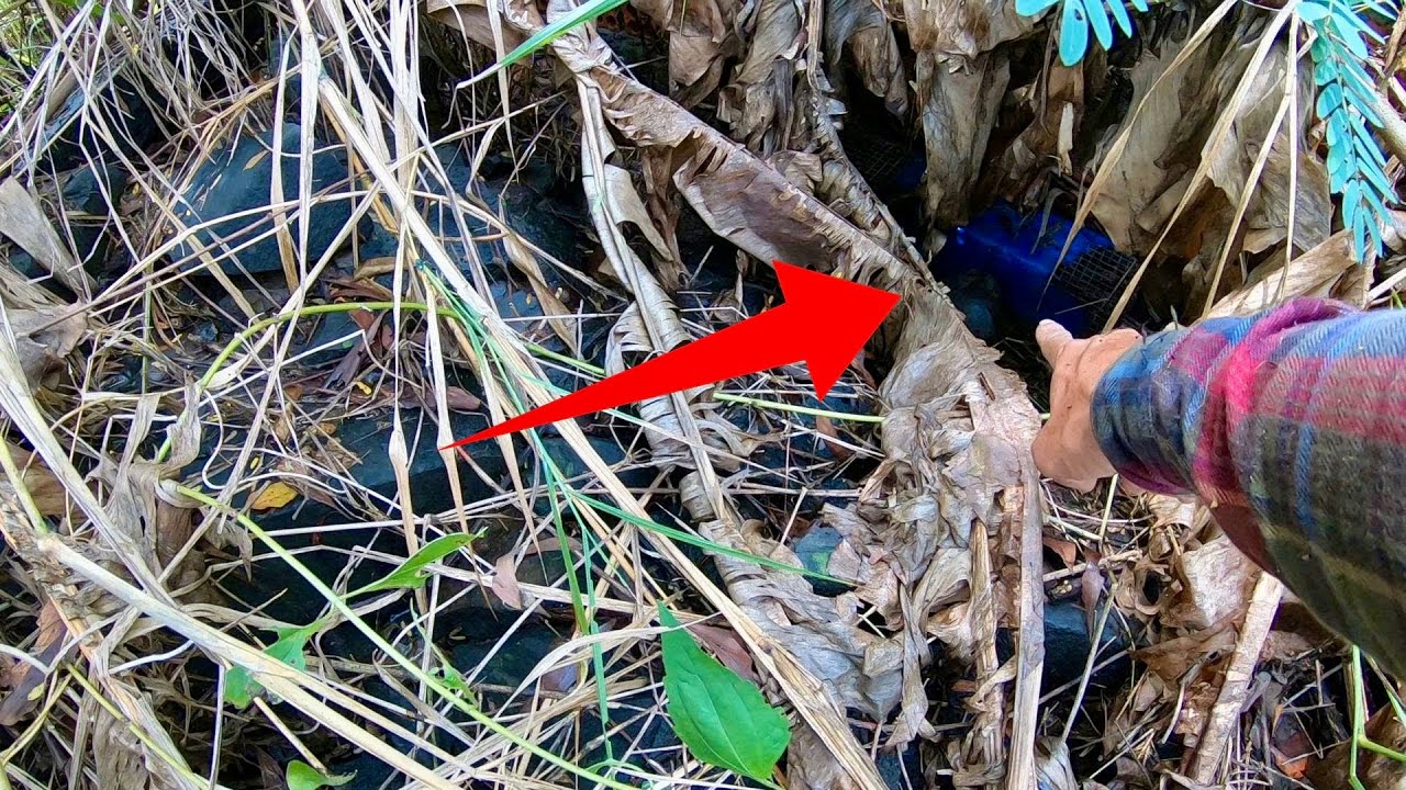 Bủn Rủn Tay Chân Khi Gặp Cảnh Này - Hoang Mang Quá