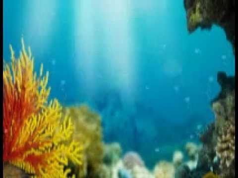 皇上別碰我 笑死朕 2010年10月5日 保險騙案 第二節