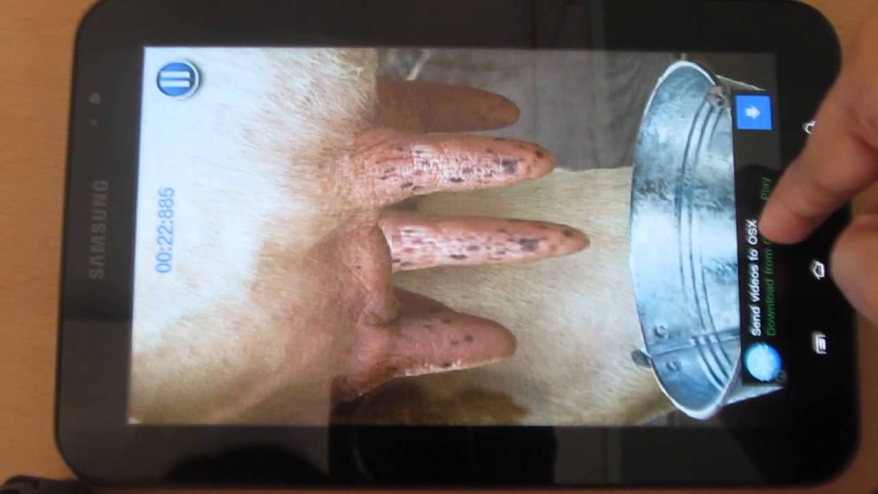 Milk the cow - App review by ReviewBreaker