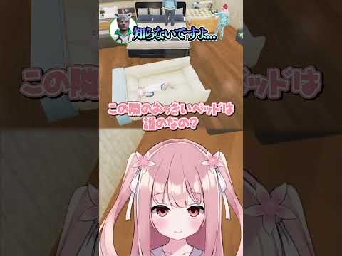 続・救急隊のベッド事情┊︎ #ストグラSeason2 #Shorts
