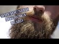 Why you should grow a beard  beardcare with beardster