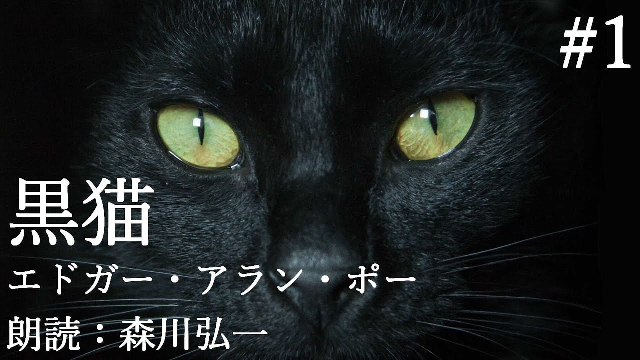 1【朗読】『黒猫(THE BLACK CAT)』エドガー・アラン・ポー Edgar Allan