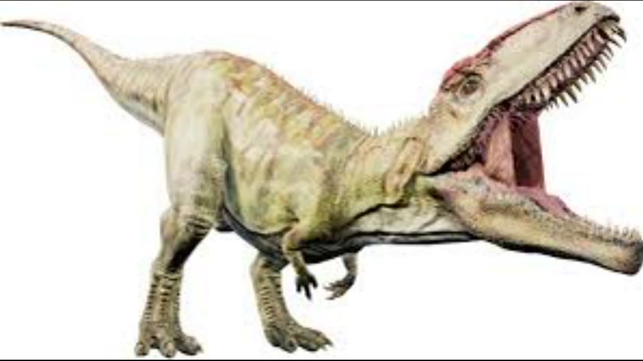 Why the Giganotosaurus is an Underrated Dinosaur YouTube