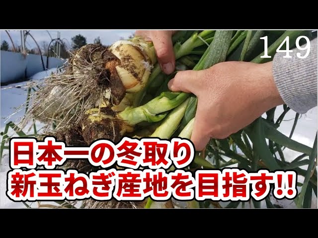 Aiming to be the first place in Japan to produce new onions