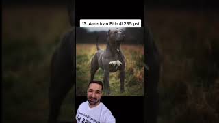 Top Cu Cea Mai Puternică Mușcătură Pt 2