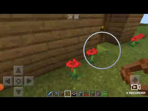 اروع بيت ميتنو كرت