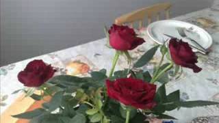 Birol YILDIRIM- Yardan ayrildim