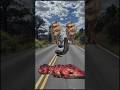 Big Anaconda vs dinosaur T-Rex fight scene#dinosaur#anaconda#jurassicworld#shorts#youtubeshorts